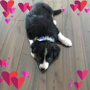 Meet your Posher, Terri